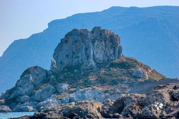 Agios Stefanos - plaża, kościół oraz ruiny bazyliki 28