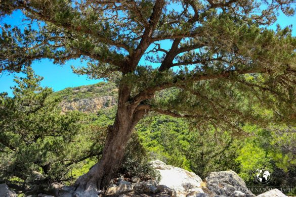 Zamek Monolithos 32