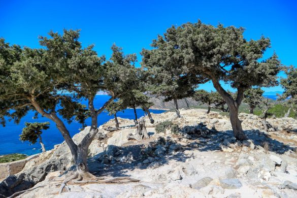 Zamek Monolithos 55
