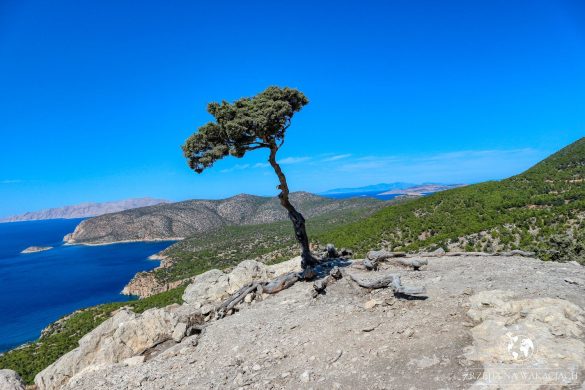 Zamek Monolithos 50