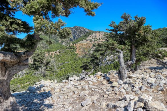 Zamek Monolithos 48