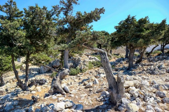 Zamek Monolithos 47