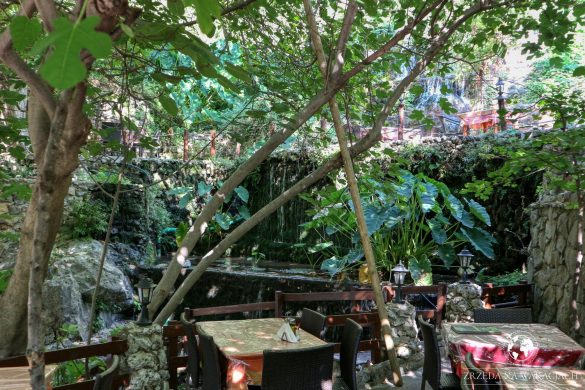 Green Oasis 32