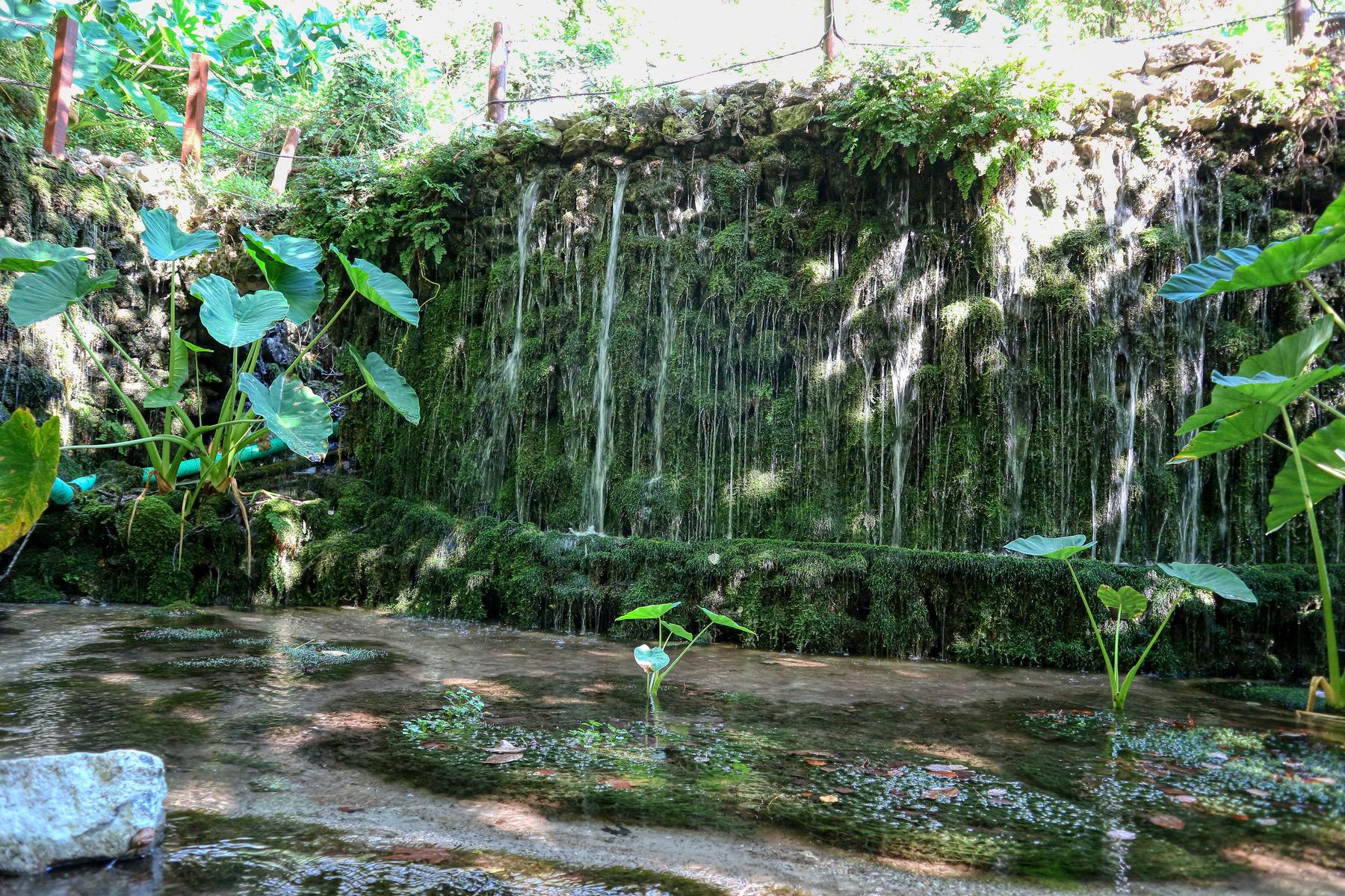 Green Oasis
