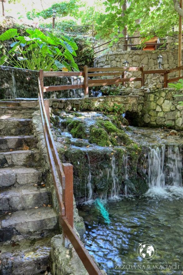 Green Oasis 38