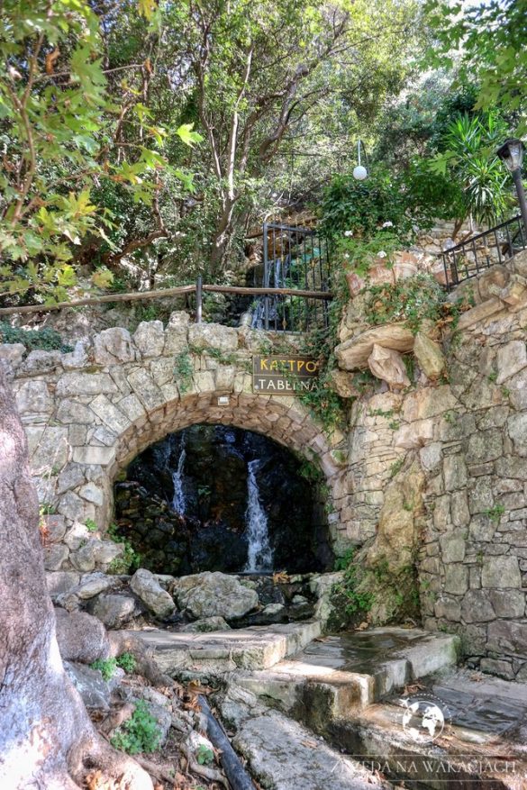 Green Oasis 42