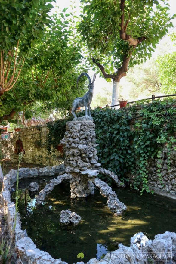 Green Oasis 58