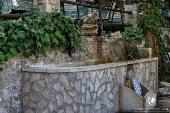 Green Oasis 27