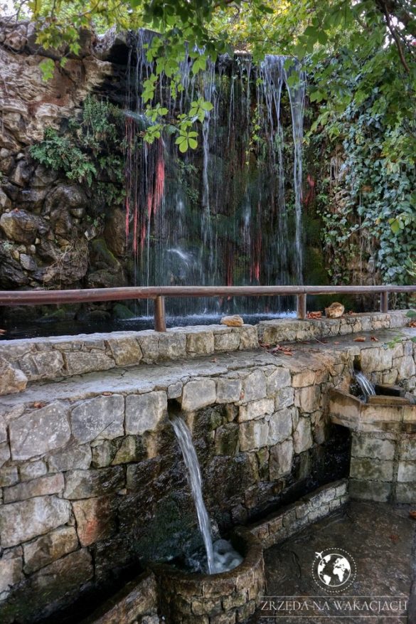 Green Oasis 57